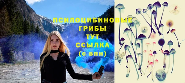 mdma Елизово