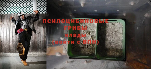 герыч Елабуга