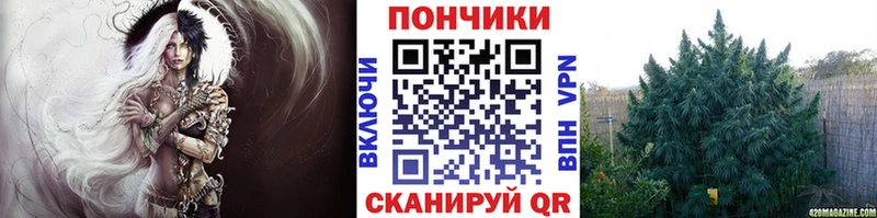 Купить  Кызыл  Конопля сатива 